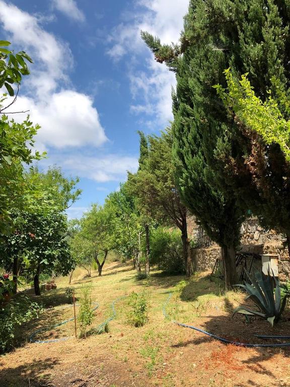 Yesil Vadi Apart Pansiyon Rezervasyon
