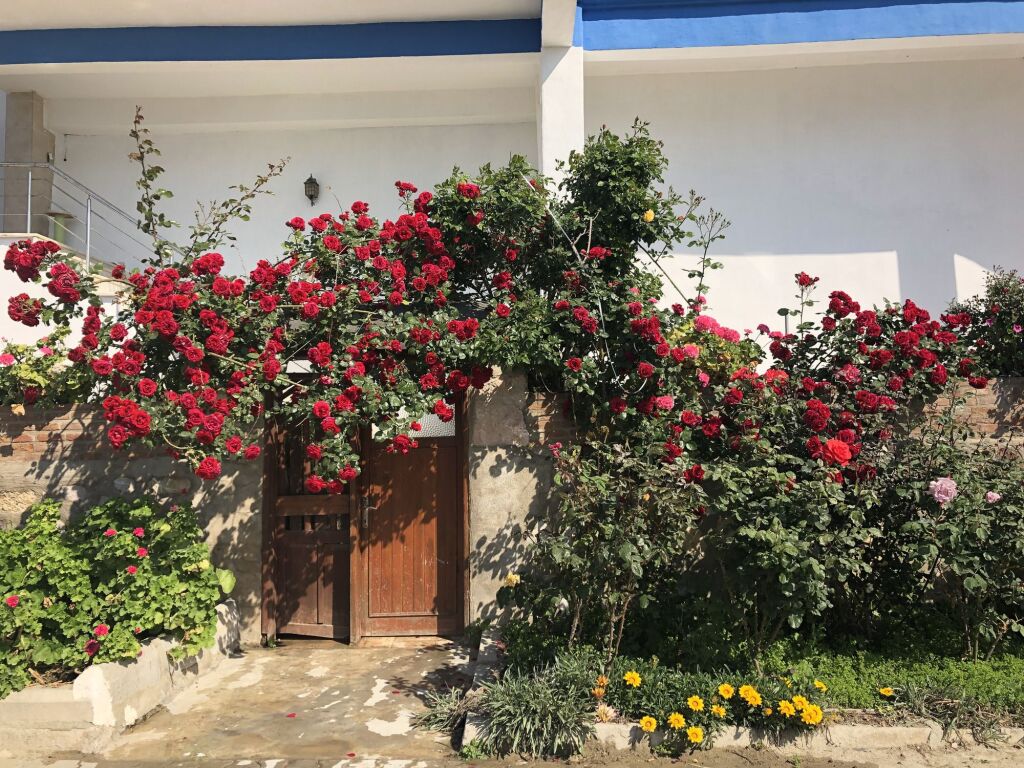 Leb-I Derya Rezervasyon