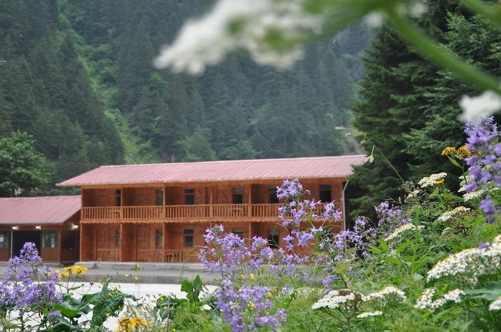 Uzungol Bungalow House Rezervasyon