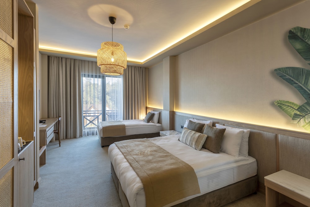 Hancıoğlu Çamburnu Orman Evleri & Otel Rezervasyon