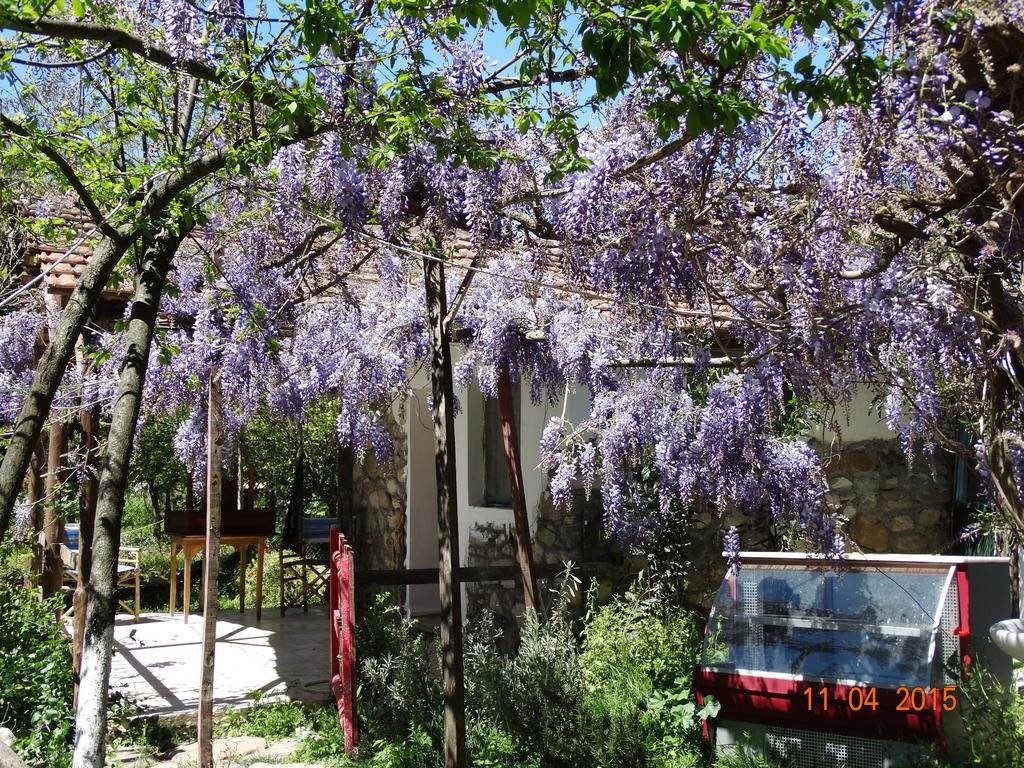 Nar Pansiyon Rezervasyon