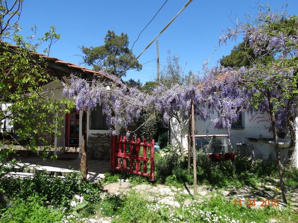 Nar Pansiyon Rezervasyon