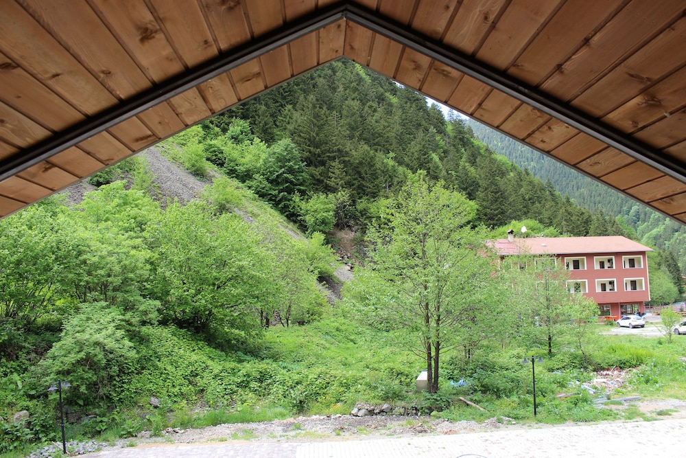 Uzungol Selale Hotel Rezervasyon