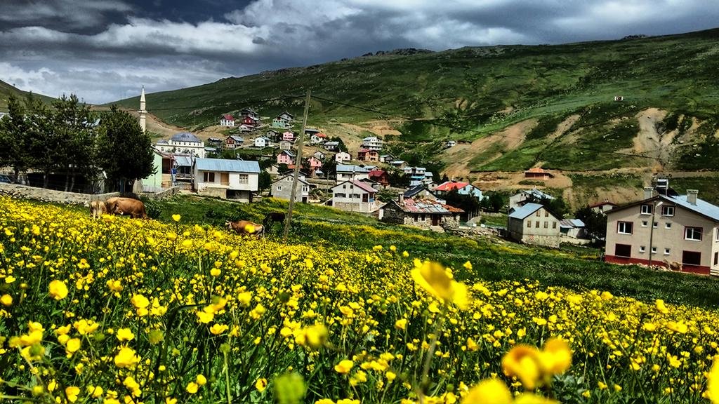 Aydinli Pansiyon Rezervasyon