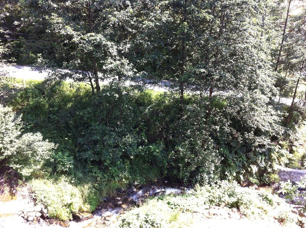 Aydere Apart Hotel Rezervasyon