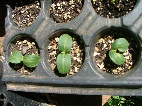 Ekodanitap Natural Life Rezervasyon