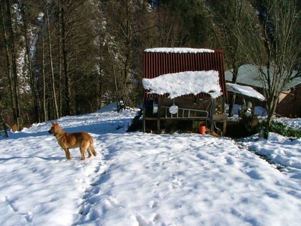 Ekodanitap Natural Life Rezervasyon
