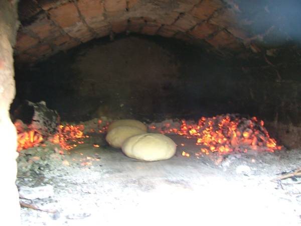 Ekodanitap Natural Life Rezervasyon