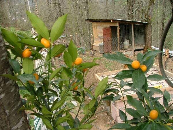 Ekodanitap Natural Life Rezervasyon