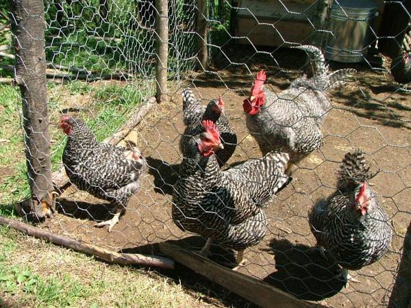 Ekodanitap Natural Life Rezervasyon