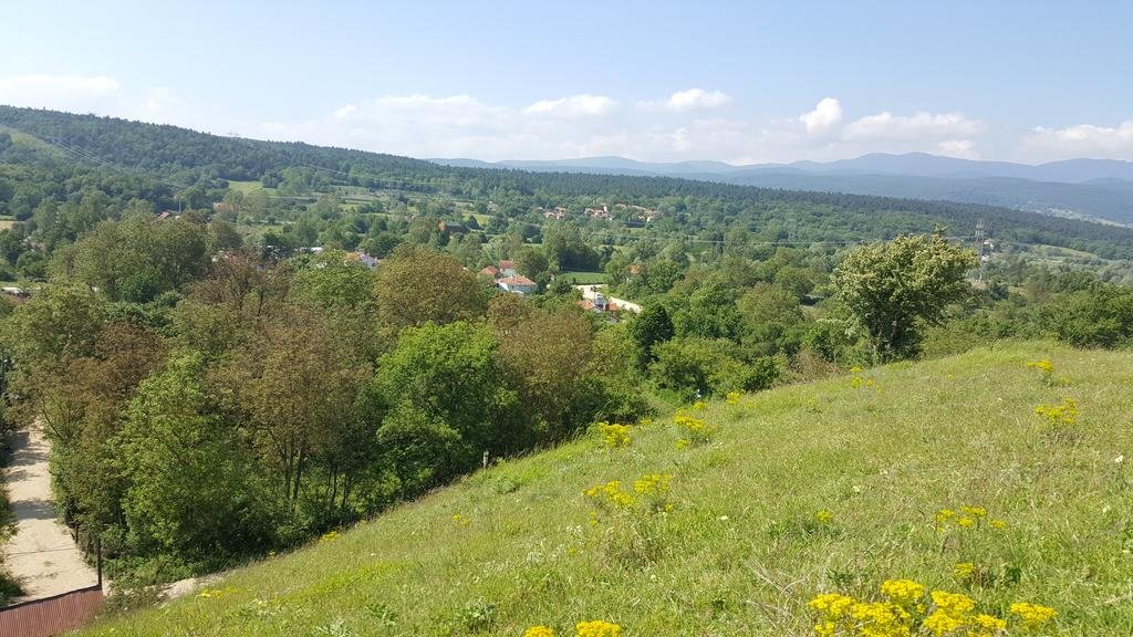 Ness Abant Butik Hotel Rezervasyon