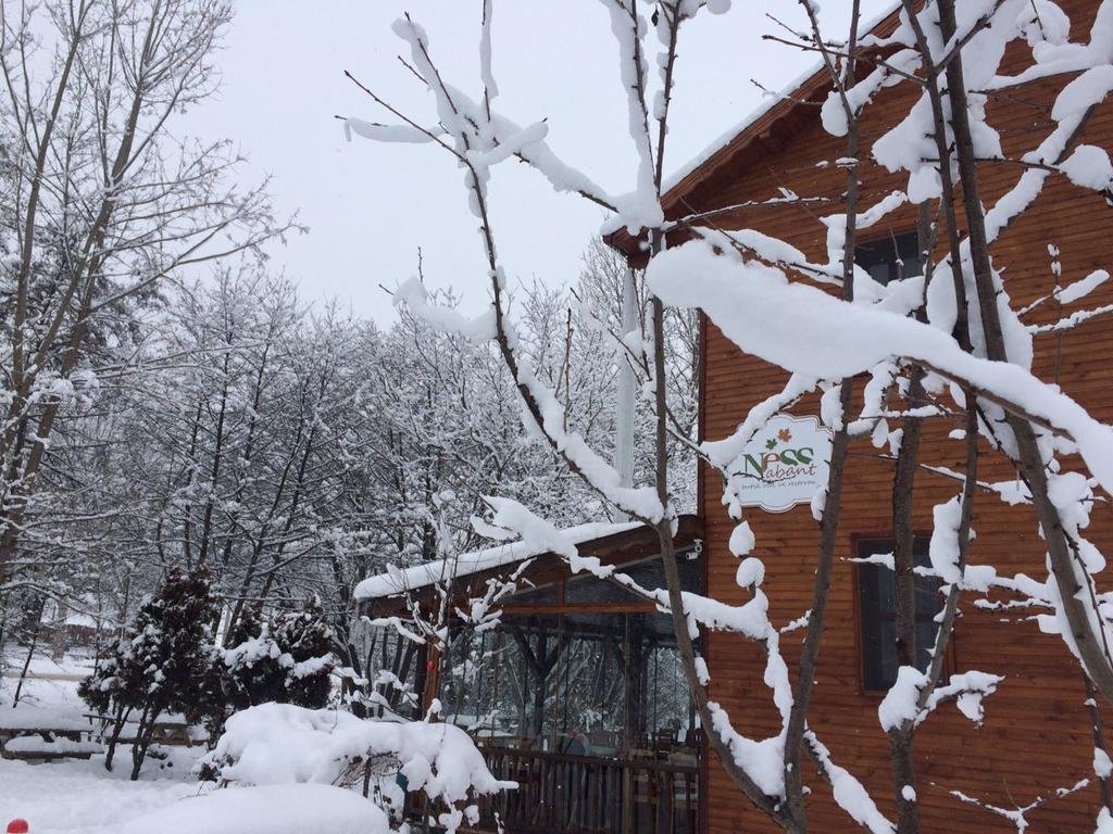 Ness Abant Butik Hotel Rezervasyon