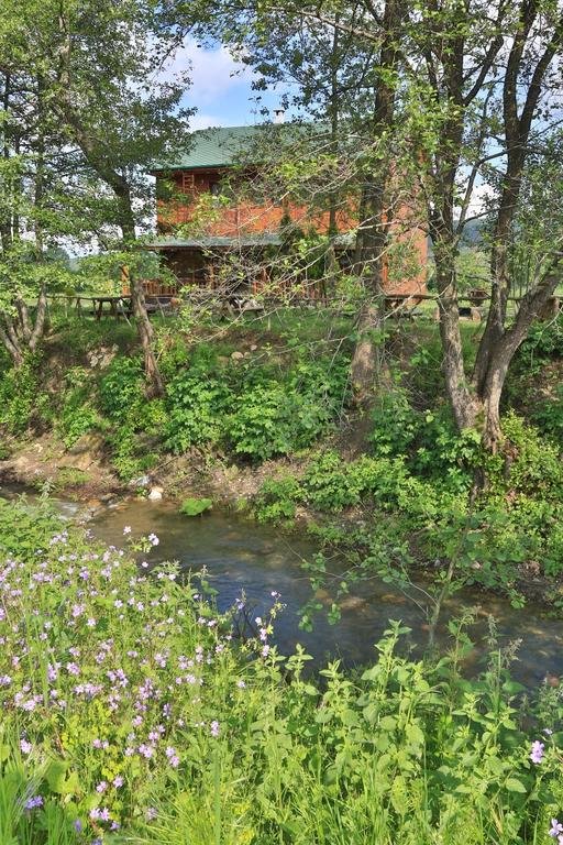 Ness Abant Butik Hotel Rezervasyon