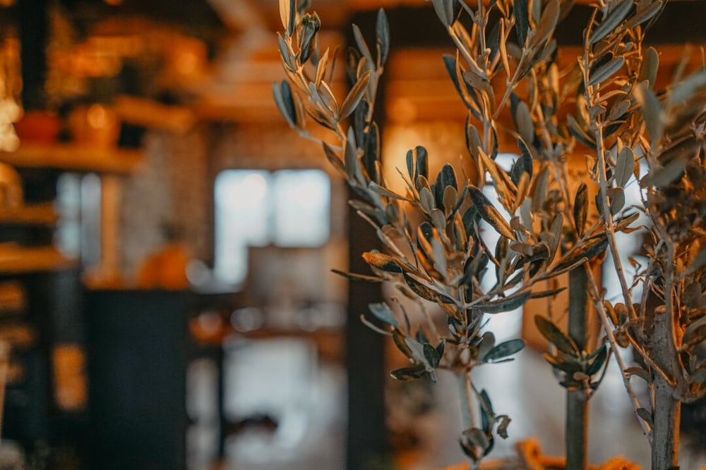 Sana Yasam Koyu Rezervasyon