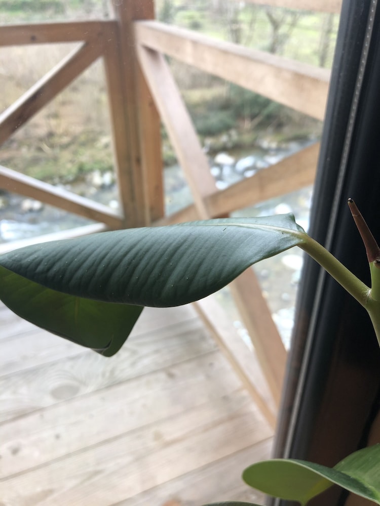 Sana Yasam Koyu Rezervasyon