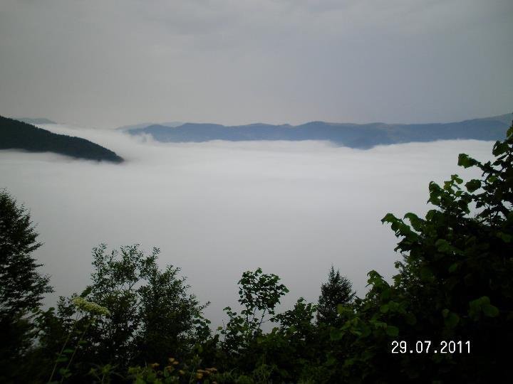 Kayabasi Yayla Kent Rezervasyon