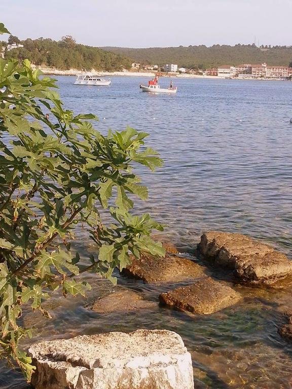 Degirmen Hotel Kerpe Rezervasyon