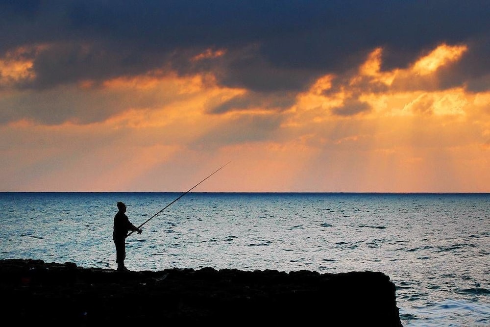 Lapina Pension & Restaurant Rezervasyon