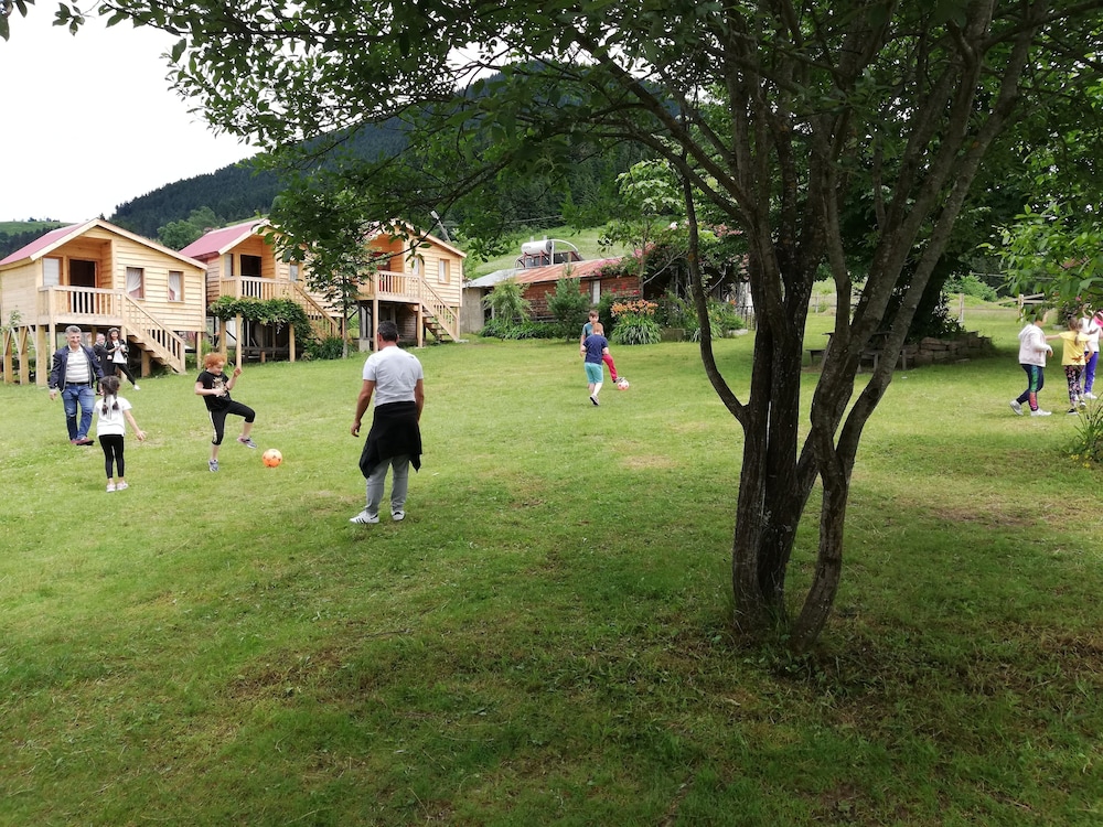 Pilav Dagi Yavuzyilmaz Tesisleri Rezervasyon