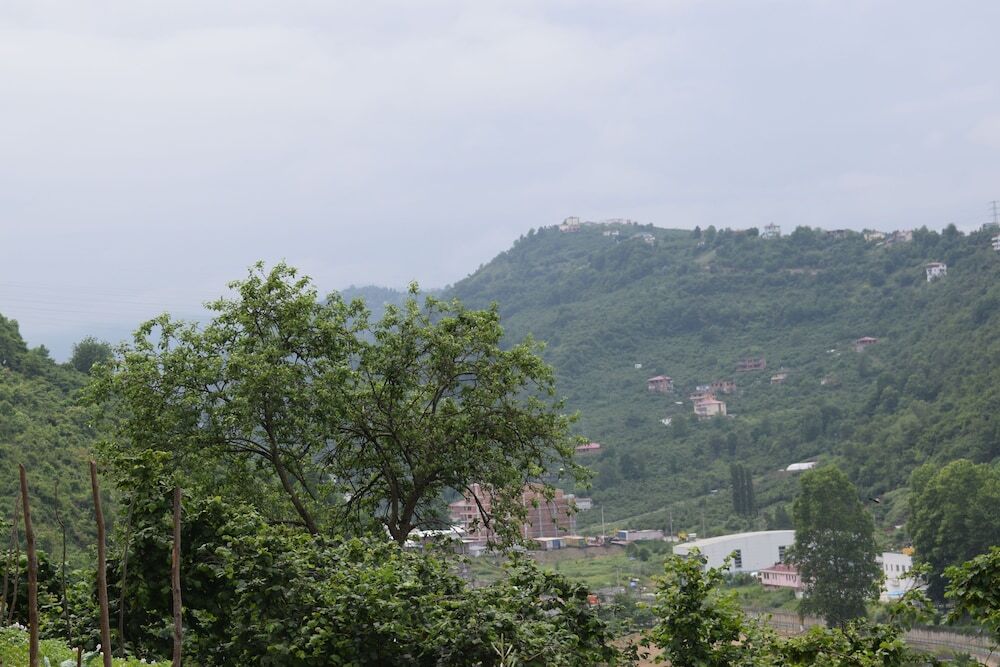 Zahi Hotel Rezervasyon