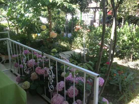 Yunus Apart Hotel Rezervasyon