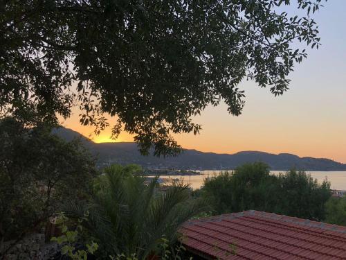 Palmira Bungalow & Camping Rezervasyon