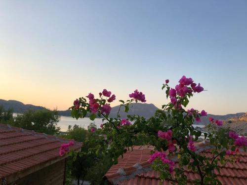 Palmira Bungalow & Camping Rezervasyon