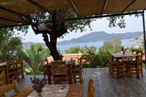 Palmira Bungalow & Camping Rezervasyon