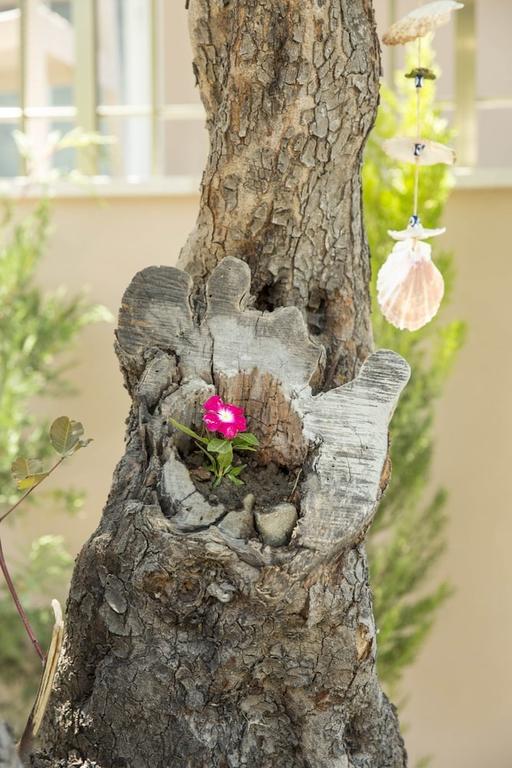 Nautilus Rezervasyon