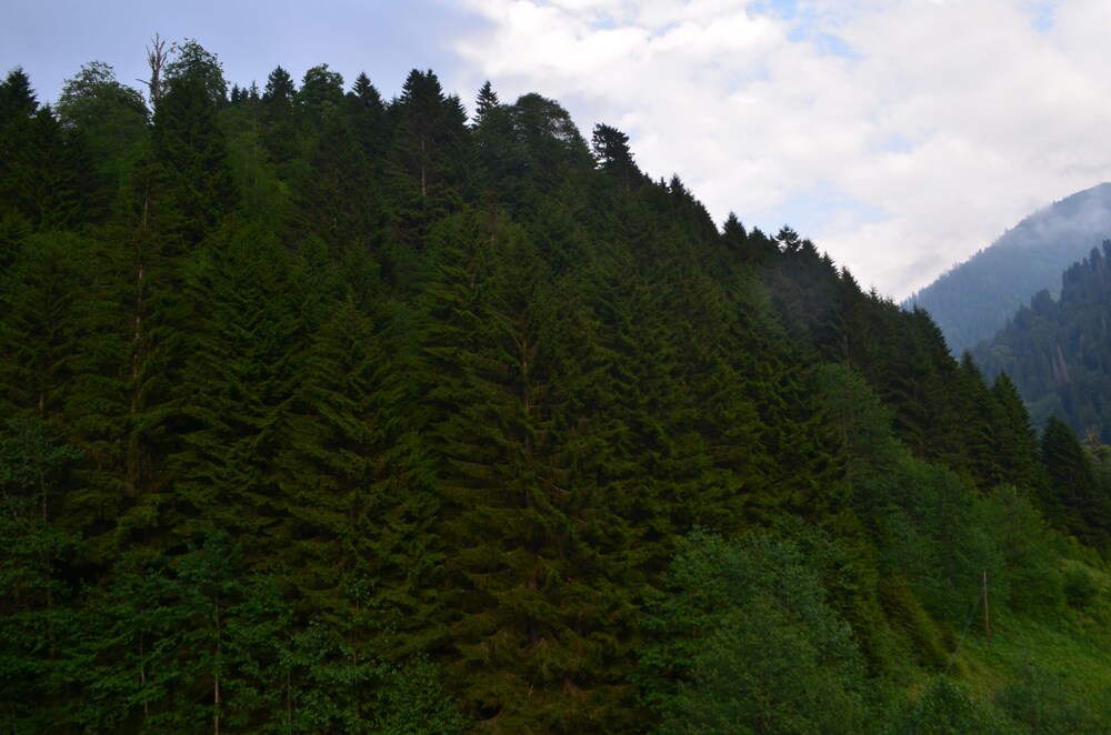 Koroglu Apart Rezervasyon