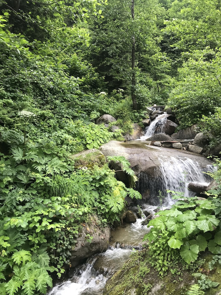 Ayder Şelale Dağ Evi Rezervasyon