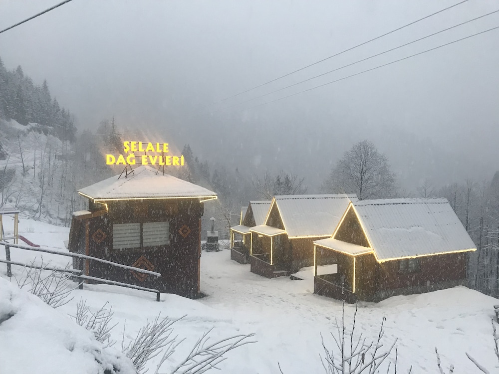 Ayder Şelale Dağ Evi Rezervasyon