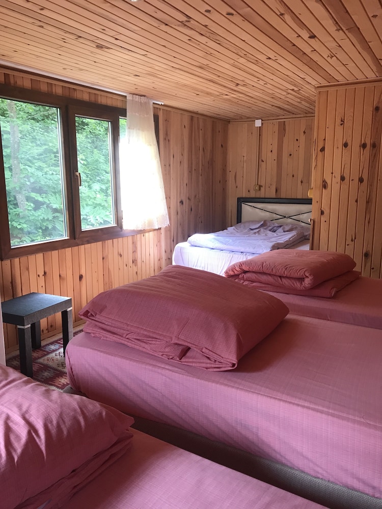 Ayder Şelale Dağ Evi Rezervasyon