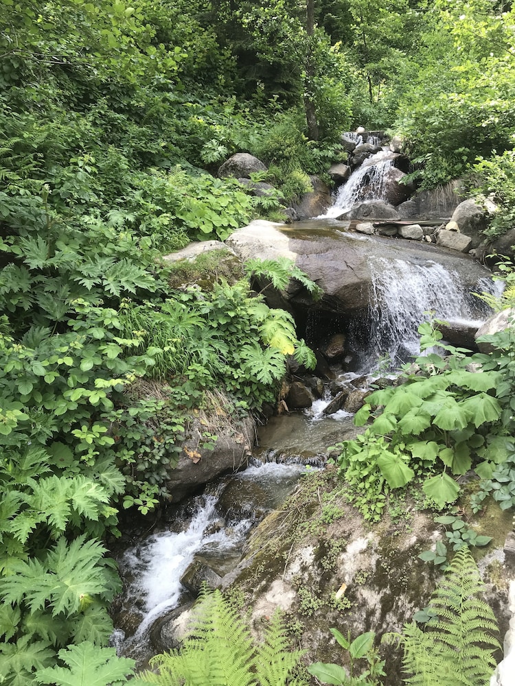 Ayder Şelale Dağ Evi Rezervasyon