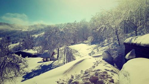 Parpalia Konaklama Rezervasyon