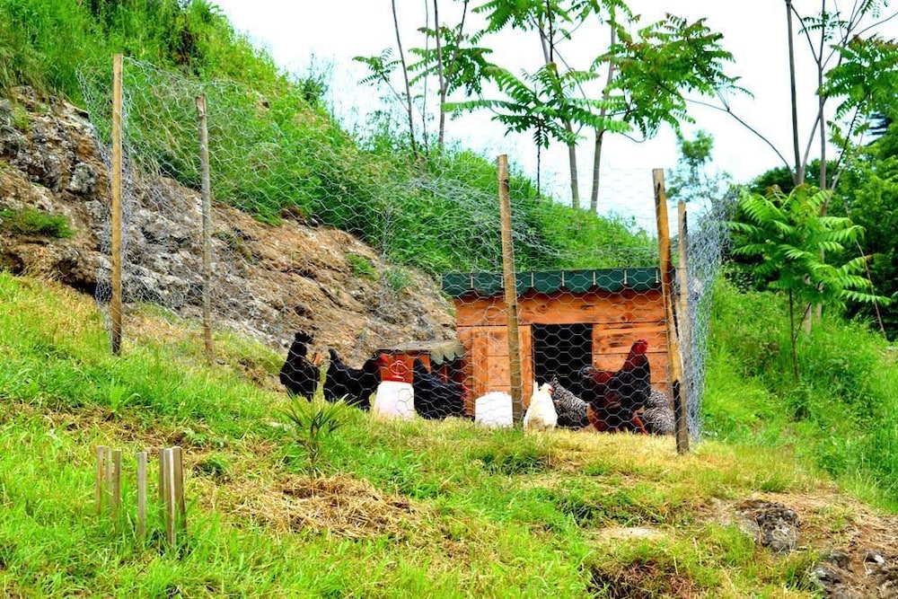 Zahi Bungalov Rezervasyon