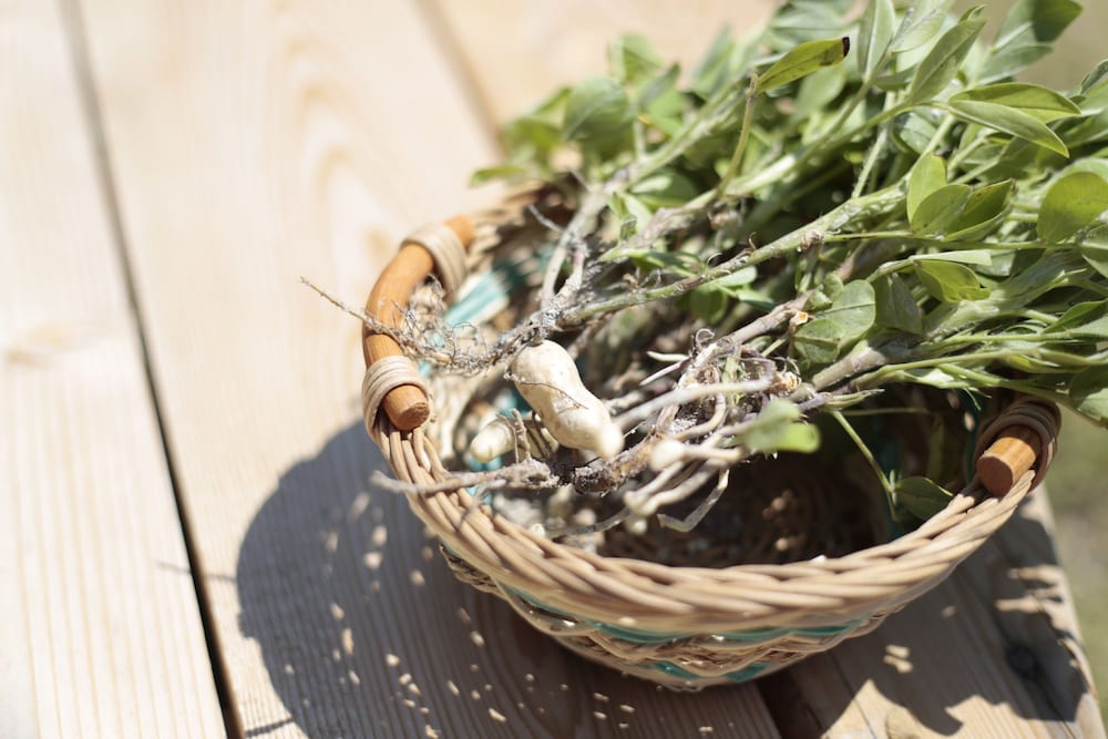 Vadi Alacati Rezervasyon