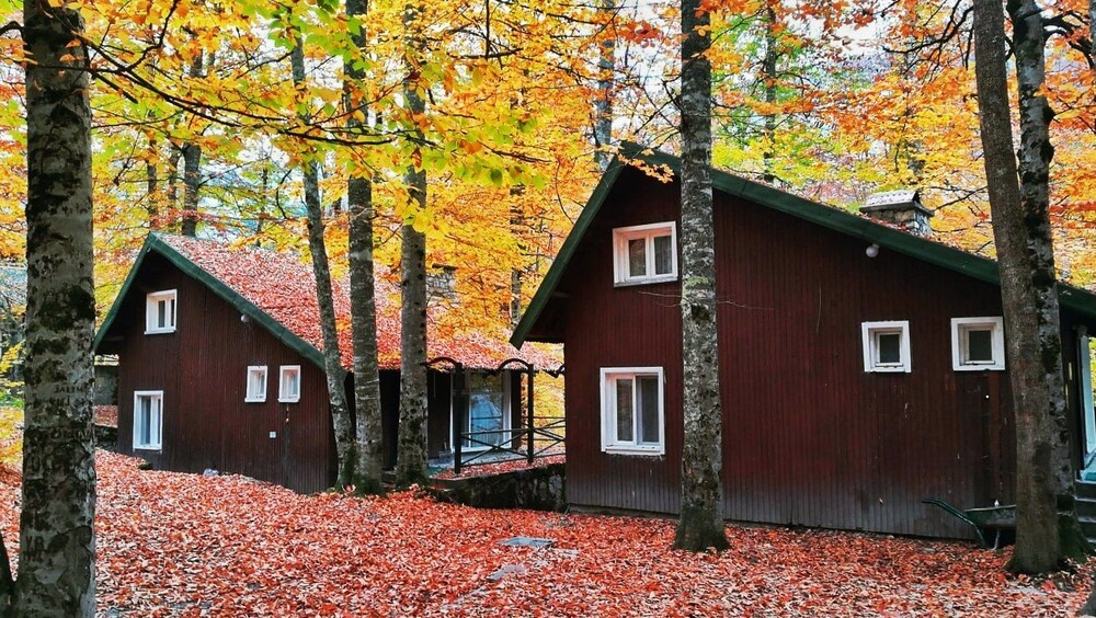 Habitat Mesire Rezervasyon