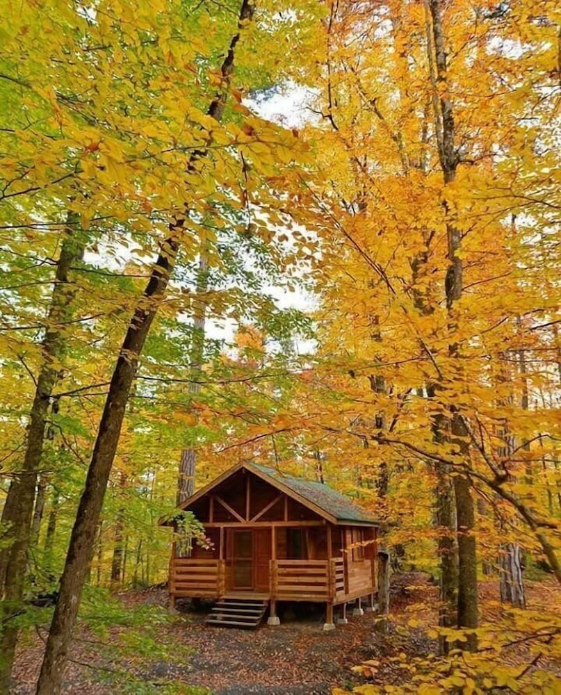 Habitat Mesire Rezervasyon