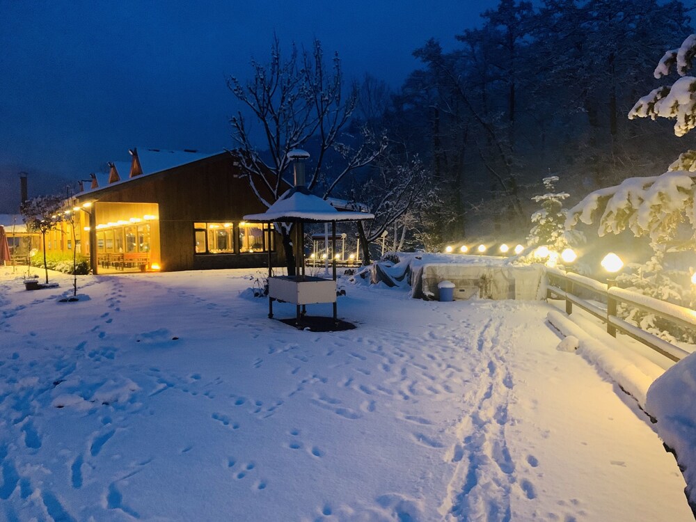 Abant Hitit Otel & Restaurant Rezervasyon