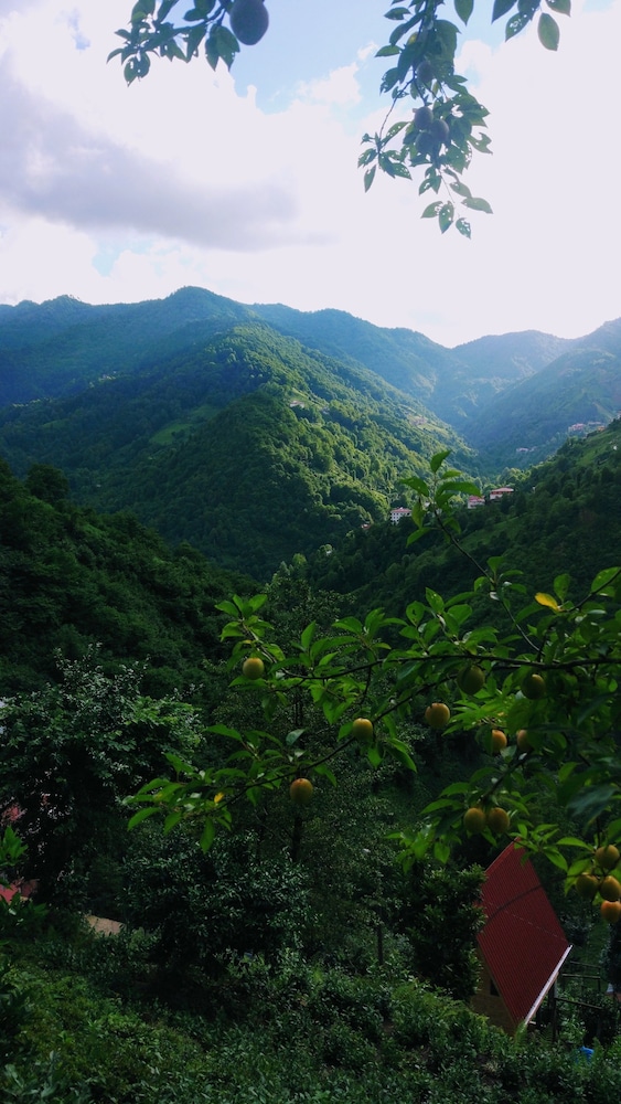 Begi Apart Bungalov Rezervasyon