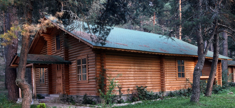 Yayla Mocamp Rezervasyon