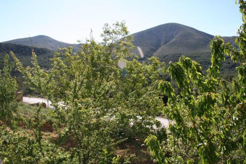 Yayla Pansiyon Rezervasyon