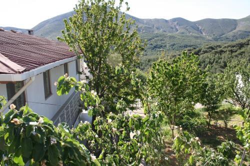 Yayla Pansiyon Rezervasyon