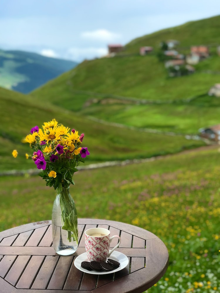 Karester Villa Apart Rezervasyon