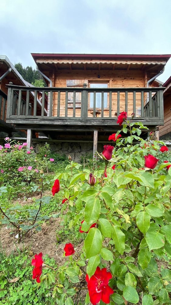 Pilita Bungalov Rezervasyon