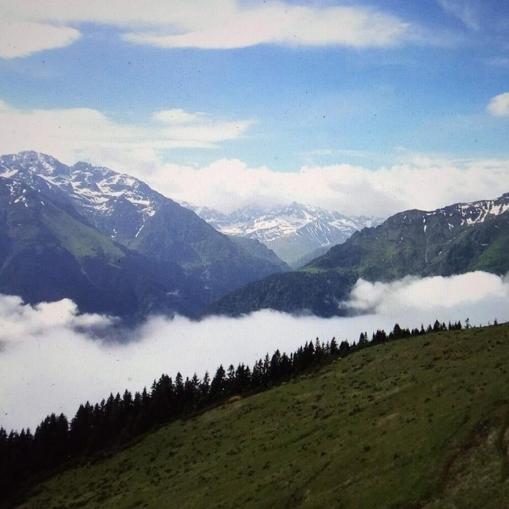 Cici Baba Dag Evi Rezervasyon