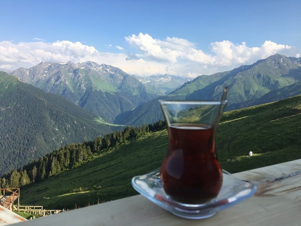 Cici Baba Dag Evi Rezervasyon