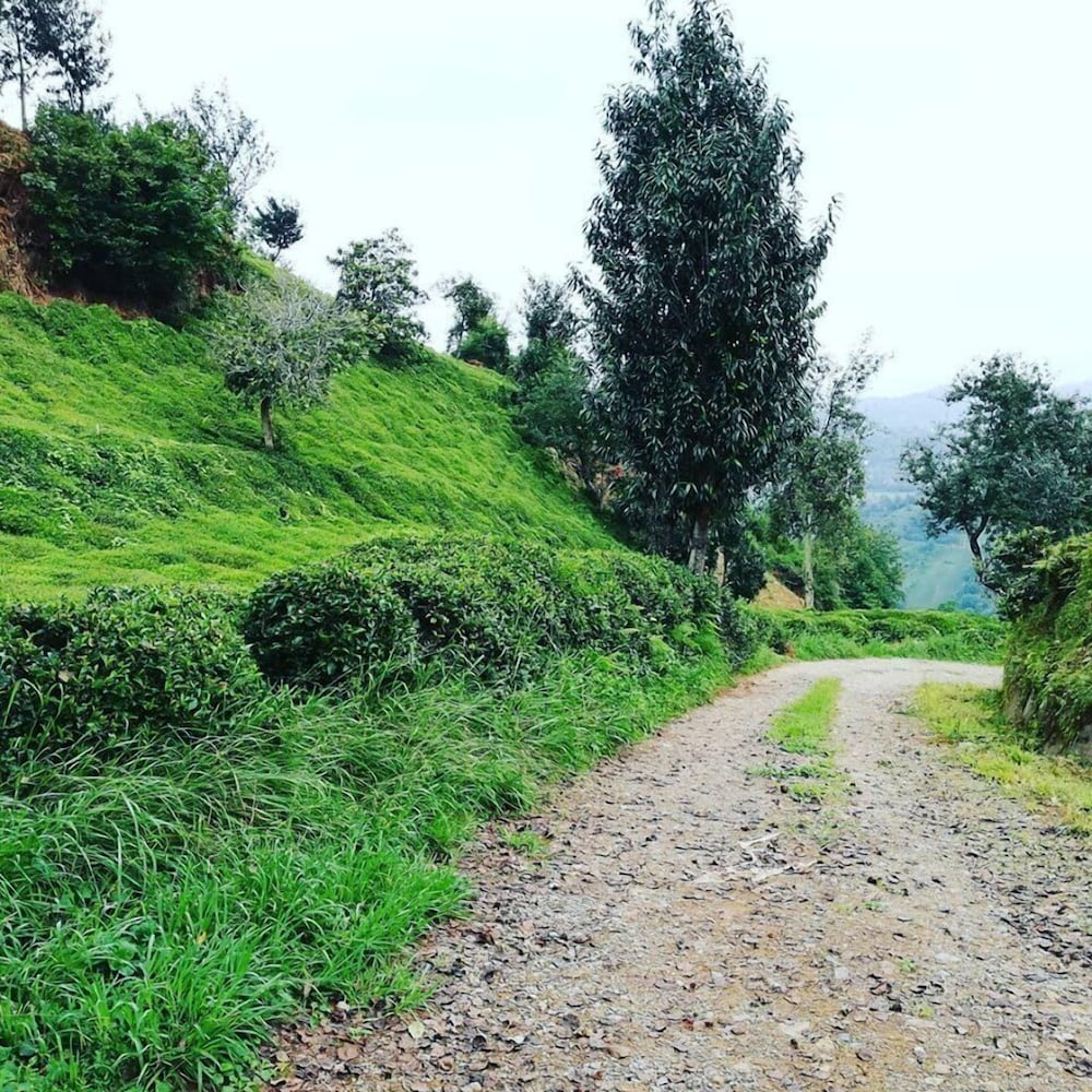 Lorant Dag Evleri Rezervasyon