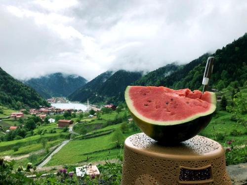 Sari Konak Apart Evleri Rezervasyon